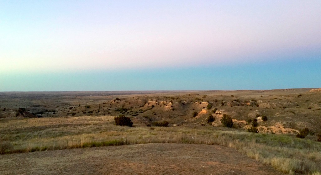 2015 Day 5 TX Landscape