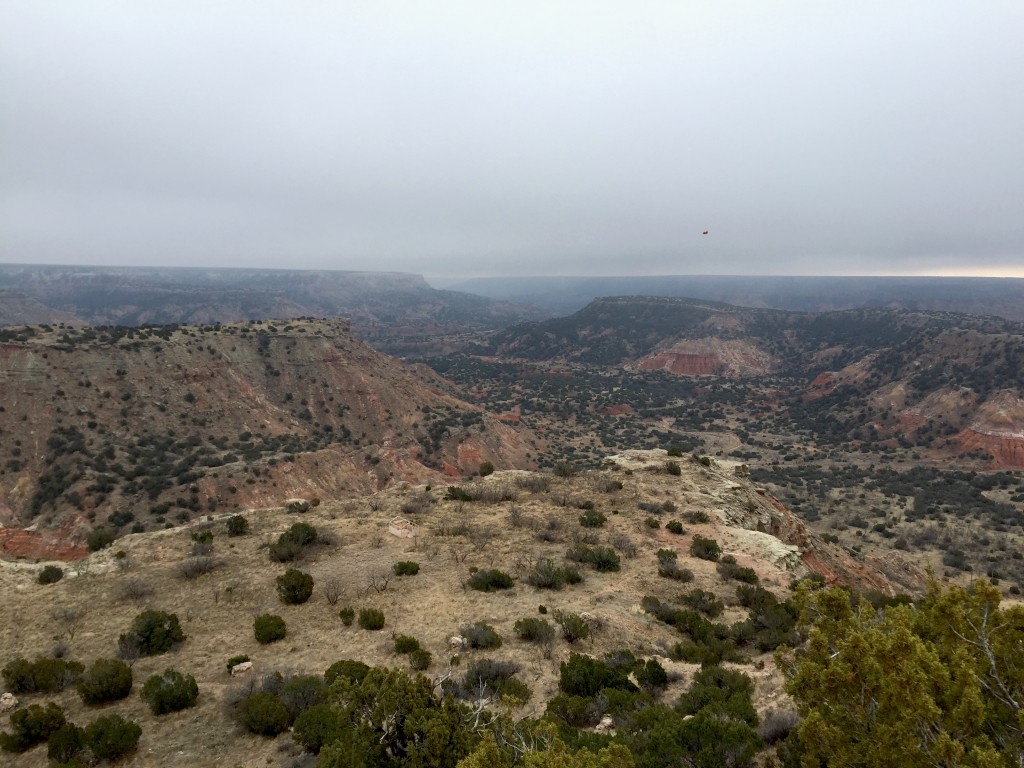 2015 Day 6 Palo Duro Canyon 2