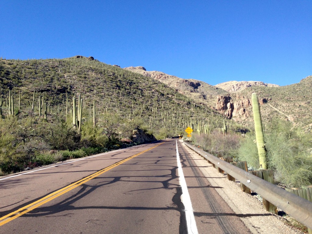 2015 Mt Lemmon View 2