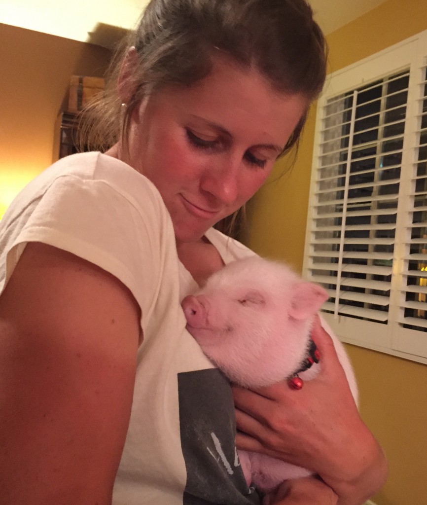 2015 Best Pig Ever