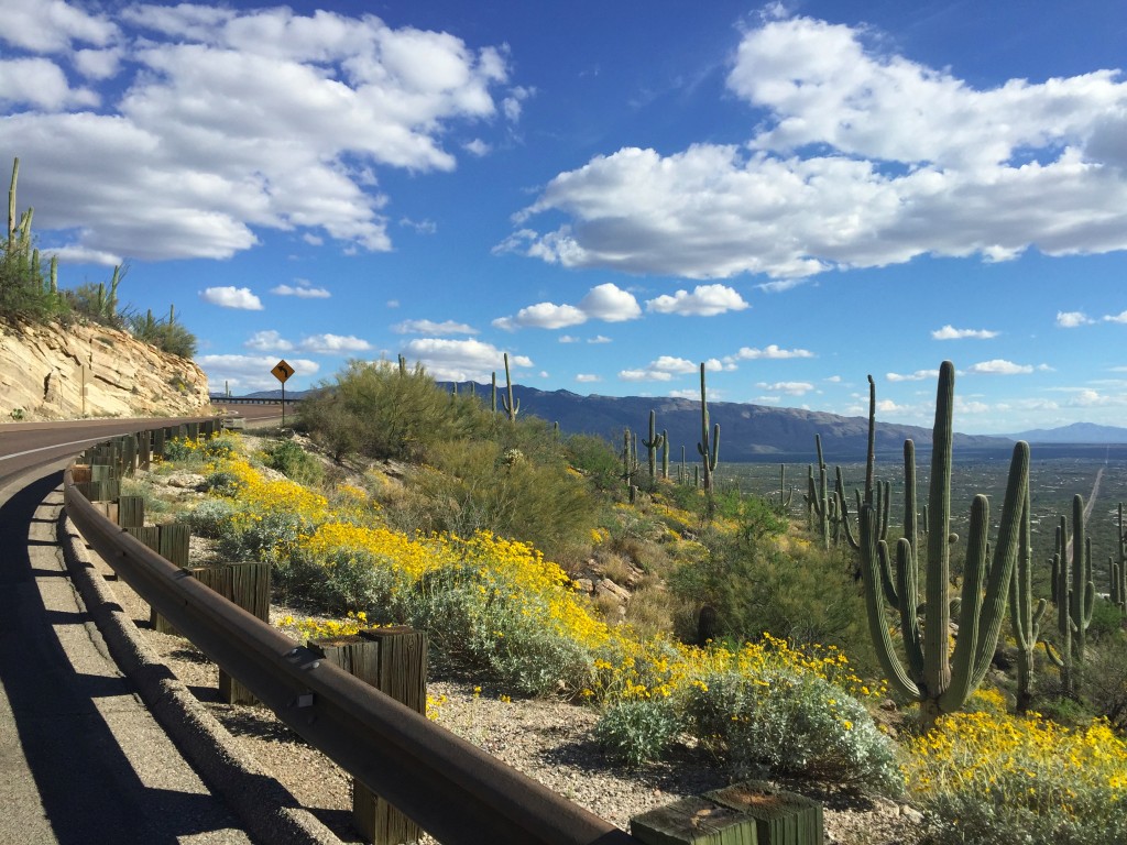 2015 Mt Lemmon