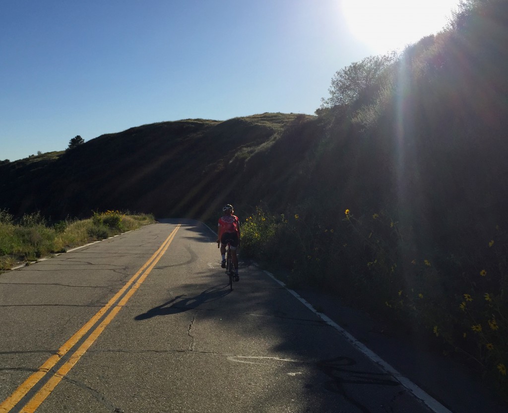 2015 Zanna on the TT Course