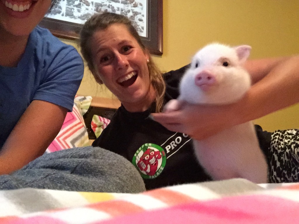 2015 Greatest Pet Ever...And Pig