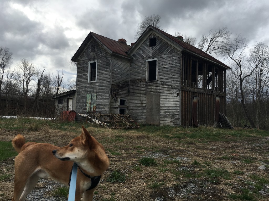 Tanner Pees In Rural Virginia